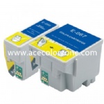 Epson T066,T067 Ink Cartridge